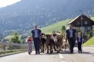 Nastal čas říct hoře naviděnou...