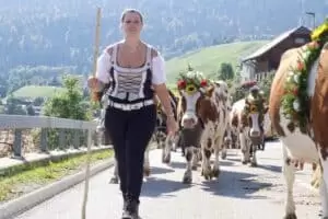 Nastal čas říct hoře naviděnou...