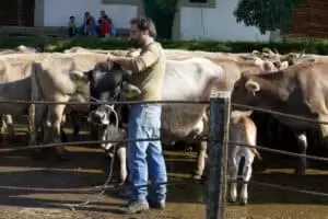 Nastal čas říct hoře naviděnou...