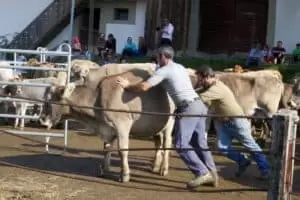Nastal čas říct hoře naviděnou...
