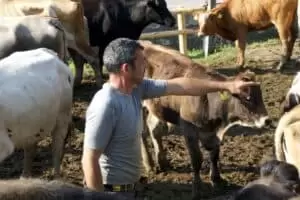 Nastal čas říct hoře naviděnou...