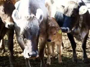 Nastal čas říct hoře naviděnou...