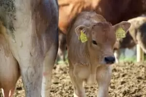 Nastal čas říct hoře naviděnou...