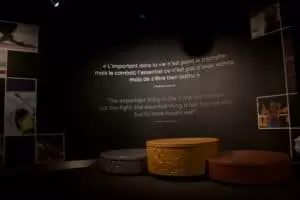 Olympijští vítězové všedního dne