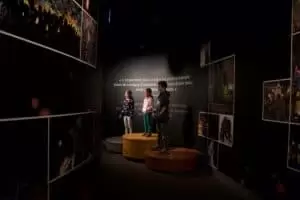 Olympijští vítězové všedního dne