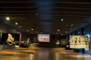 Olympijští vítězové všedního dne