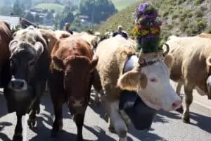 Nastal čas říct hoře naviděnou...