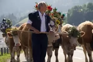 Nastal čas říct hoře naviděnou...