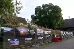 Ausstellung Dietisberg