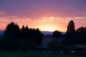 Helena & Helvetia...