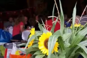 Helena & Helvetia...