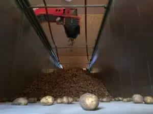 Kartoffeln