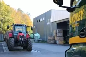 Kartoffeln