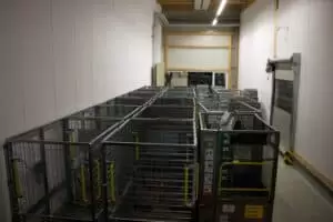 Assistenten des Weihnachtsmannes