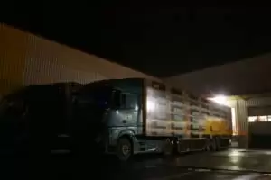 Assistenten des Weihnachtsmannes