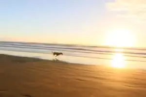 Nový Zéland 6. část Black Beach