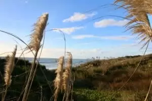 Nový Zéland 6. část Black Beach