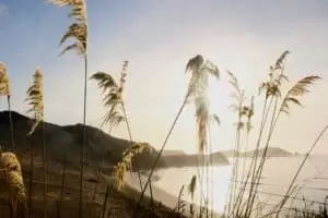 Neuseeland 4.Teil Cape Reinga