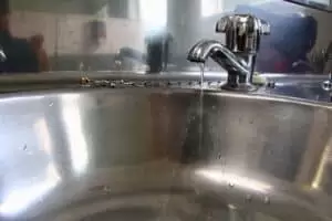 Neuseeland 11. Teil Wellington Urban Life