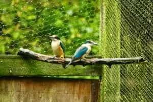 Nový Zéland 13. část It’s time to say goodbye...