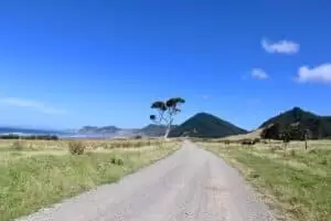 Neuseeland 8. Teil East Cape Road