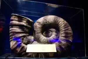 Neuseeland 11. Teil Wellington Urban Life