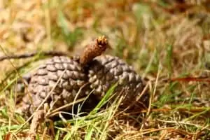 Neuseeland 11. Teil Wellington Urban Life