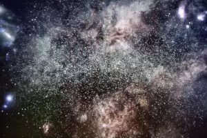 Neuseeland 11. Teil Wellington Urban Life