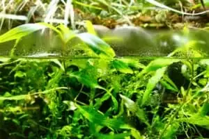 Nový Zéland 13. část It’s time to say goodbye...