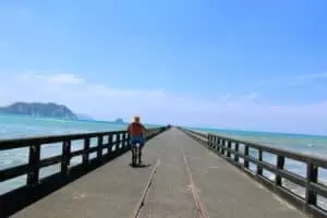 Neuseeland 8. Teil East Cape Road