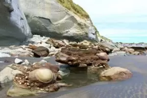 Nový Zéland 13. část It’s time to say goodbye...