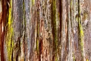 Neuseeland 11. Teil Wellington Urban Life