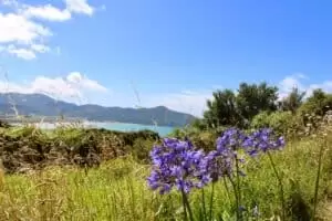 Neuseeland 8. Teil East Cape Road