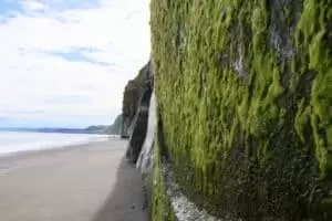 Nový Zéland 13. část It’s time to say goodbye...