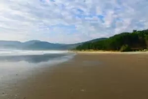 Neuseeland 8. Teil East Cape Road