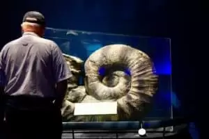 Neuseeland 11. Teil Wellington Urban Life