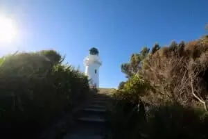 Neuseeland 8. Teil East Cape Road