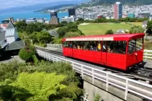 Neuseeland 11. Teil Wellington Urban Life