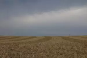 ...1. August, Stachelchen und Helvetia...