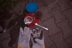 ...1. August, Stachelchen und Helvetia...