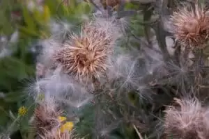 Photo 2018
