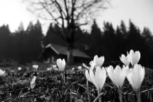 Photo 2018