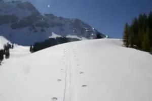 Salaš Salzmatte 1637 m.n.m