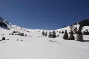 Salaš Salzmatte 1637 m.n.m