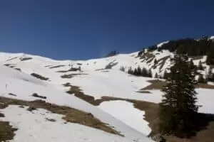 Salaš Salzmatte 1637 m.n.m