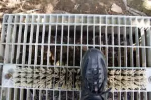 Vzpomínky na Nový Zéland