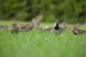 Vzpomínky na Nový Zéland