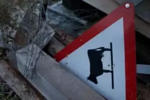 Schwyberg - lebt eures Leben und lässt mein's sein...