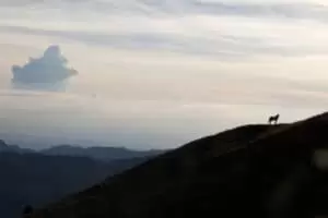 Schwyberg - lebt eures Leben und lässt mein's sein...