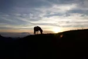 Schwyberg - lebt eures Leben und lässt mein's sein...
